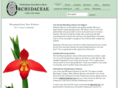 orchidaceae.com
