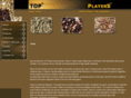playerstop.com