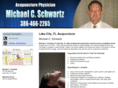 acupuncturelakecity.com