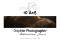 dolphin2001.net