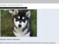 shandaelmalamutes.com