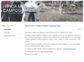 hipicamadridcampogrande.com