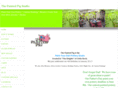 paintedpigstudio.com