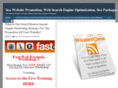 seowebsitepromotion.net