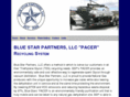 bluestar-partners.net
