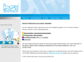 bsi-industry.com