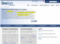 drivesight.com