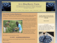 josblueberryfarm.com