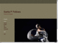 saritafellows.com