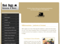 blackbuggy.com