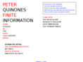 finiteinformation.com