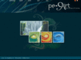 pe-art.com