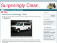 surprisinglyclean.com