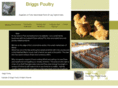 briggspoultry.com