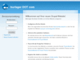 burlager.com