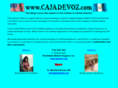 cajadevoz.com