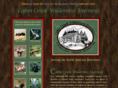 ccwjhunts.com