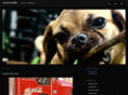 juliusalcordo.com