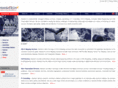kaastech.com
