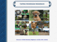 taipingrr.com