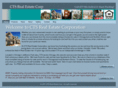 ctsrealestate.com