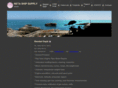 netaagency.com