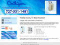 pinellascountywater.com