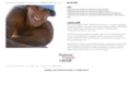preferredvisiongroup.com