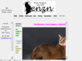benzn.com