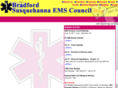 bsems.com