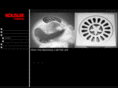 kolisler.com