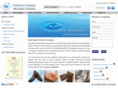 poplonchemie.com