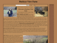buckeyeviewfarm.com