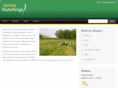 jameshutchings.co.uk