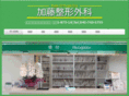 katoseikeigeka.com