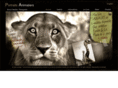 vision-sauvage.com