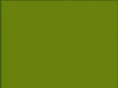 tout-vert.com