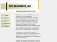 ceoresourcesinc.com