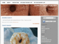 donuttacopoetry.com