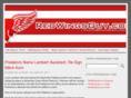 redwingsguy.com