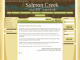 salmoncreekvision.com