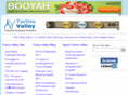 torinovalley.com