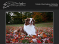 ericdarlington.com