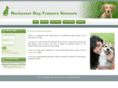 rochesterdogtrainers.com
