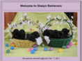 shalynretrievers.com