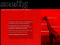 snedig.com