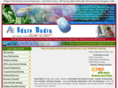 adsinmedia.com
