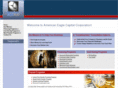 americaneaglecapitalcorp.com