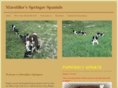 marstillerspringers.com