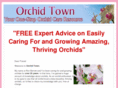 orchidtown.com